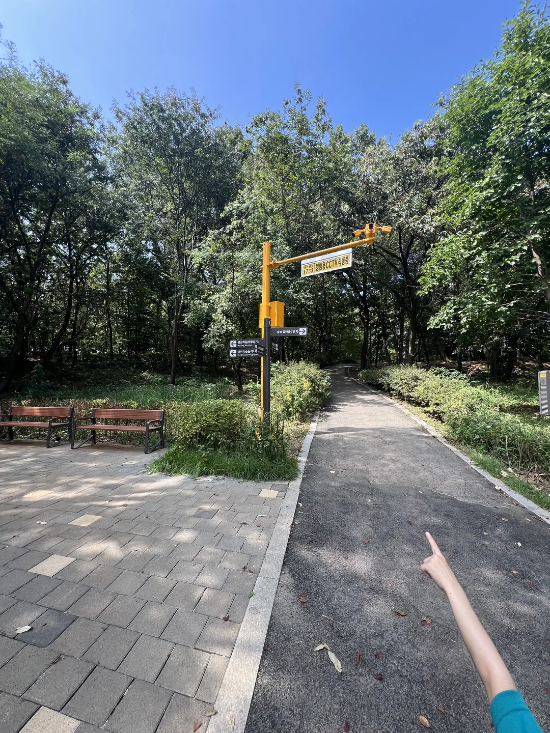 キョハ中央公園 写真 16