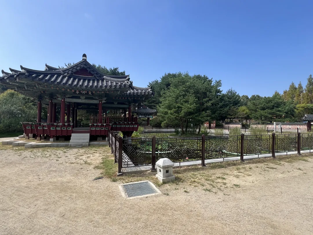 キョハ中央公園 写真 11