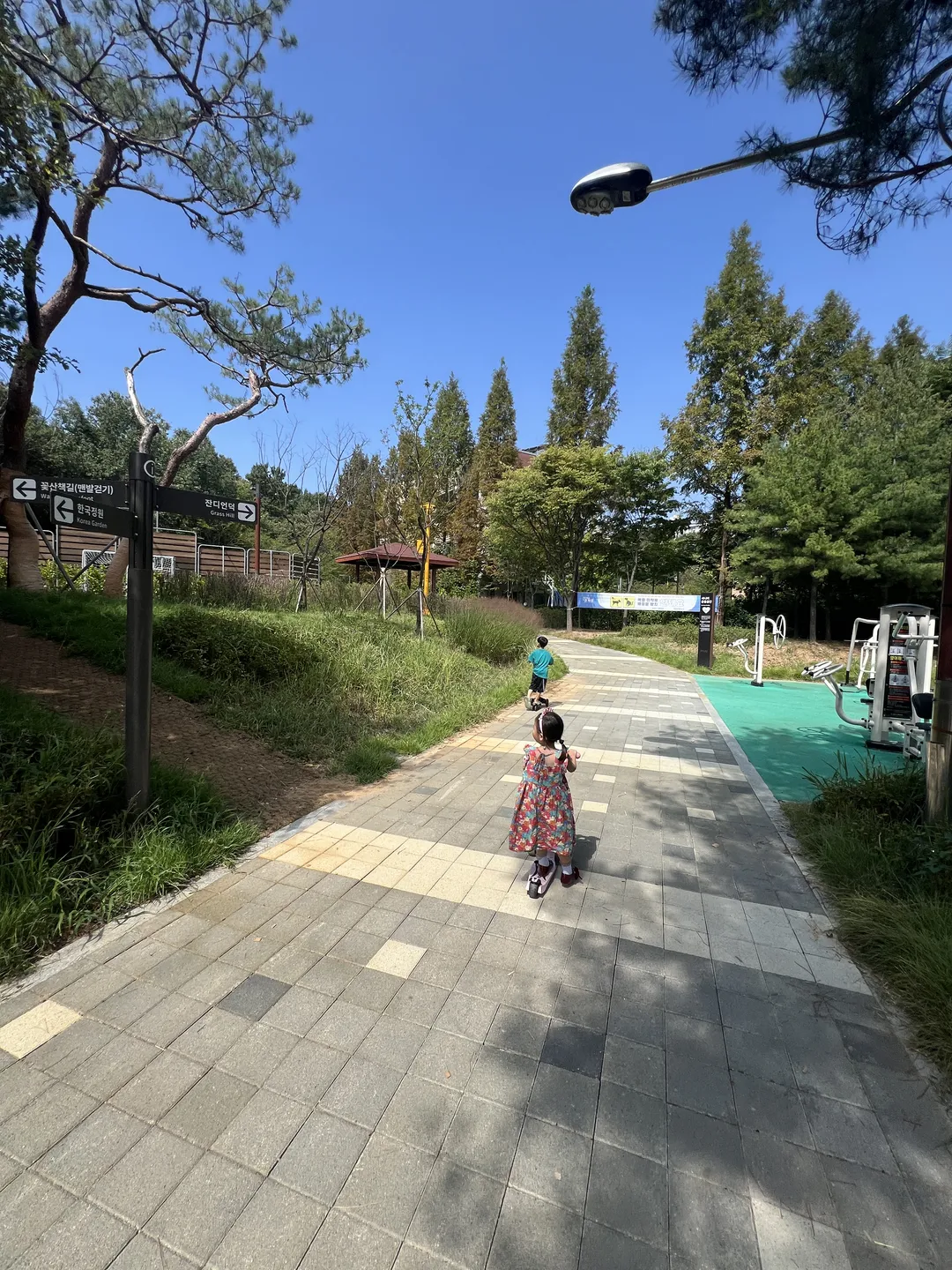 キョハ中央公園 写真 7