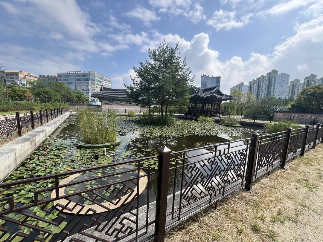 キョハ中央公園 写真 14