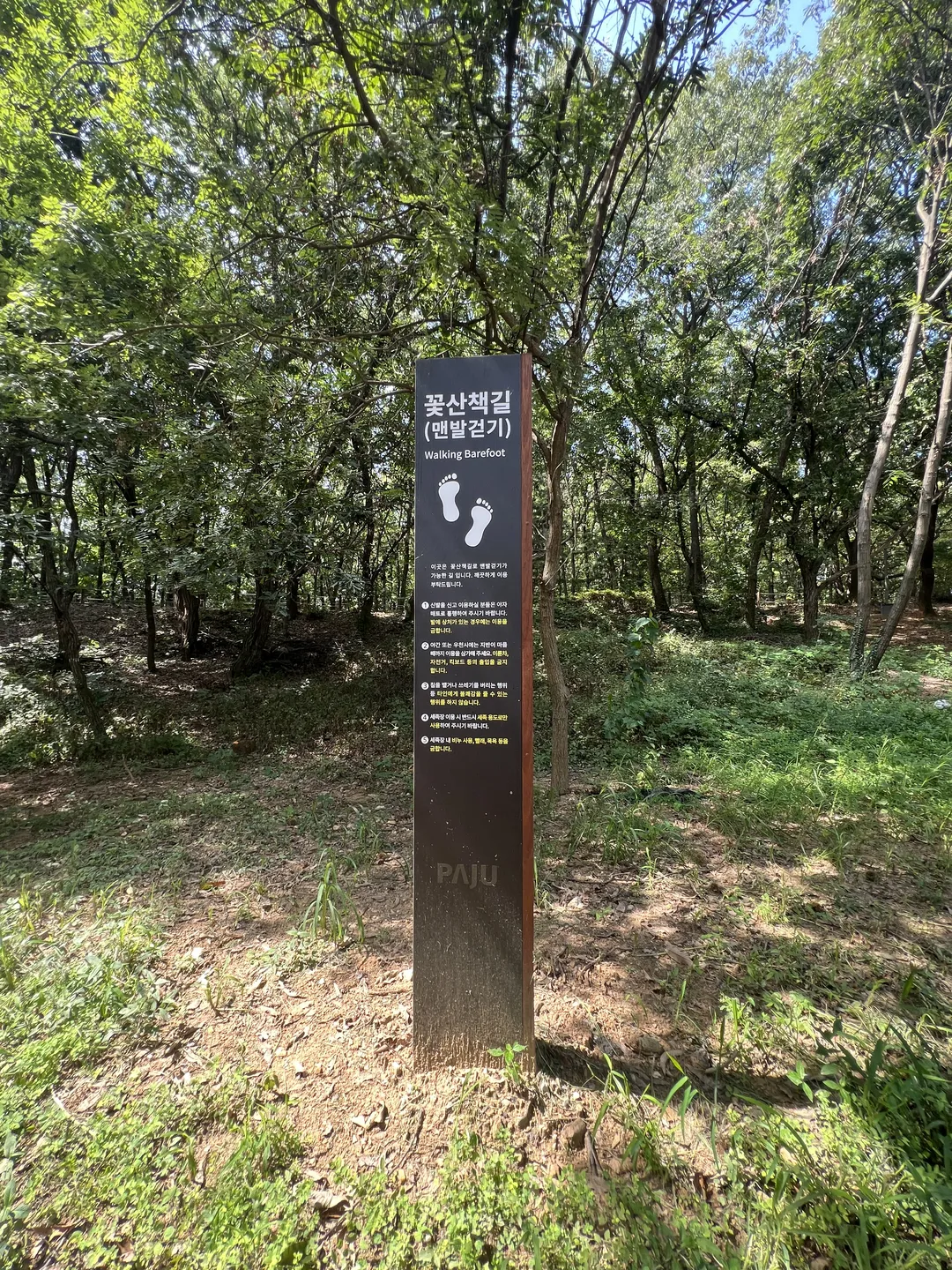キョハ中央公園 写真 17