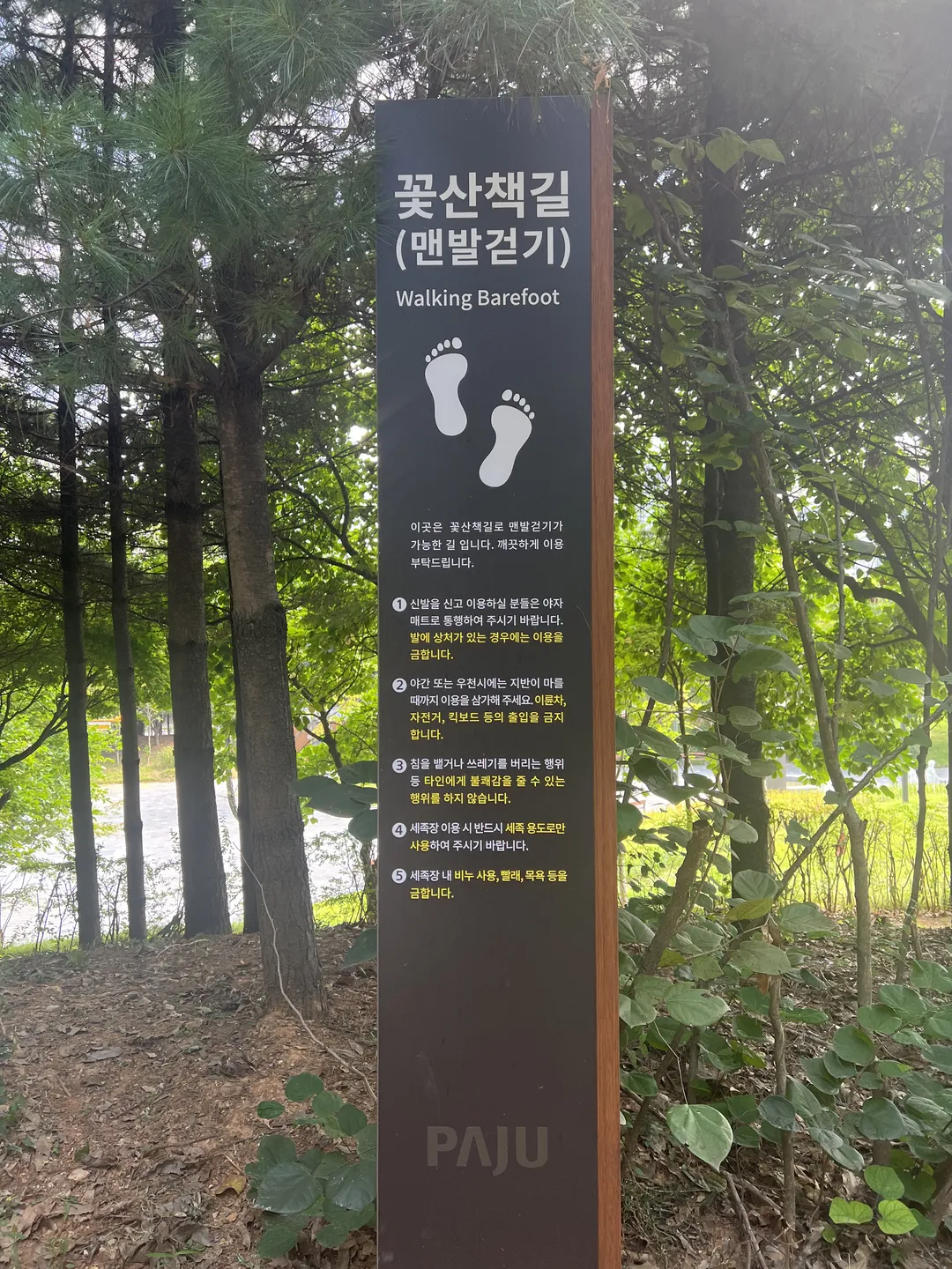 キョハ中央公園 写真 19