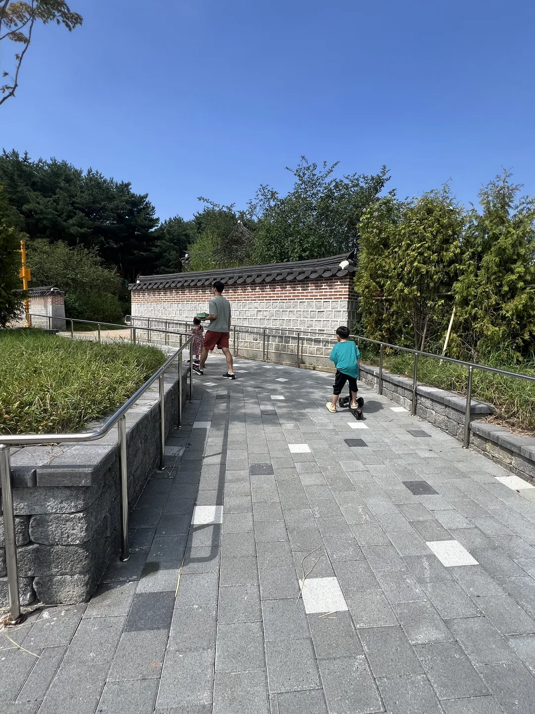キョハ中央公園 写真 6
