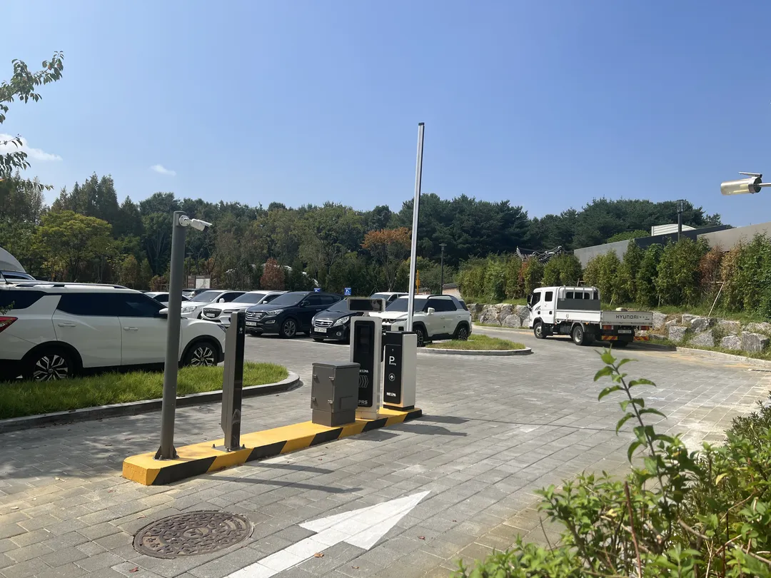 キョハ中央公園 写真 29