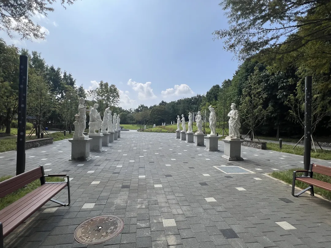 キョハ中央公園 写真 28