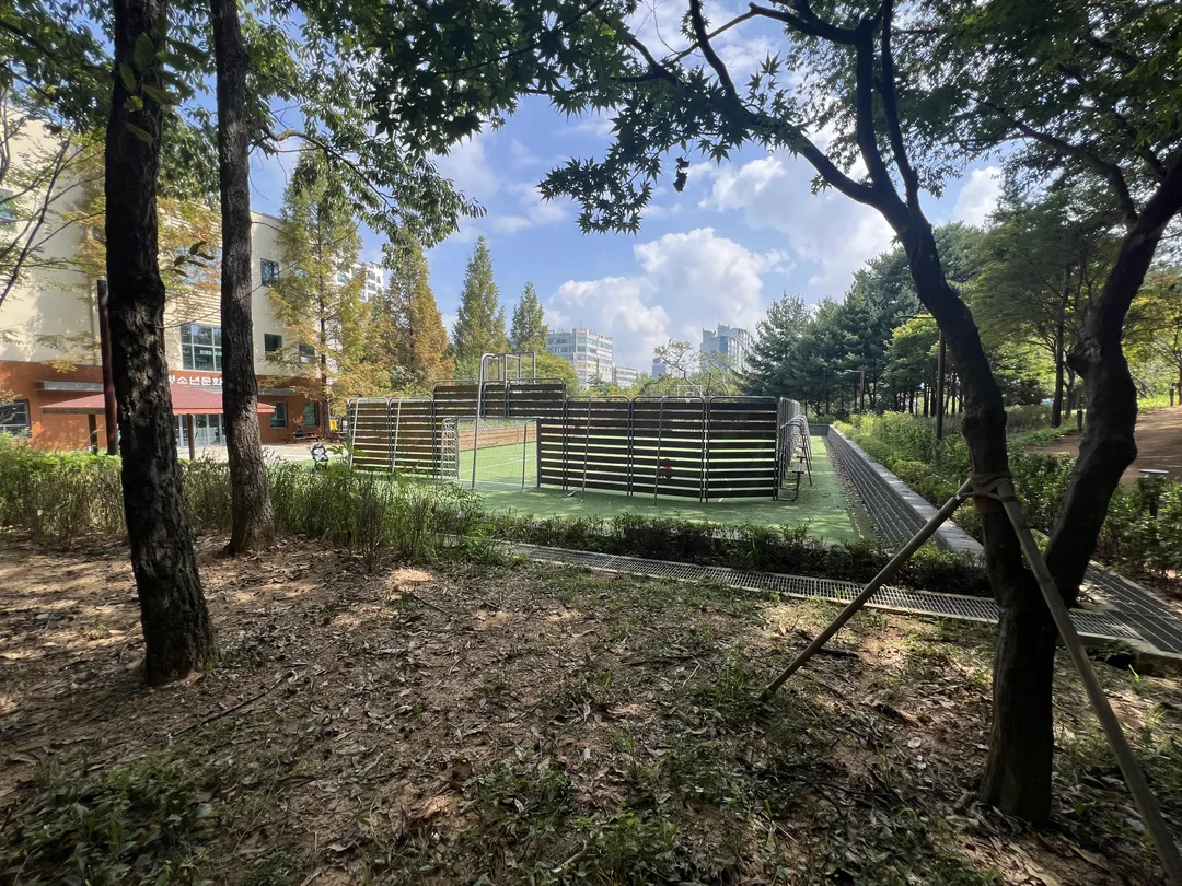 キョハ中央公園 写真 18