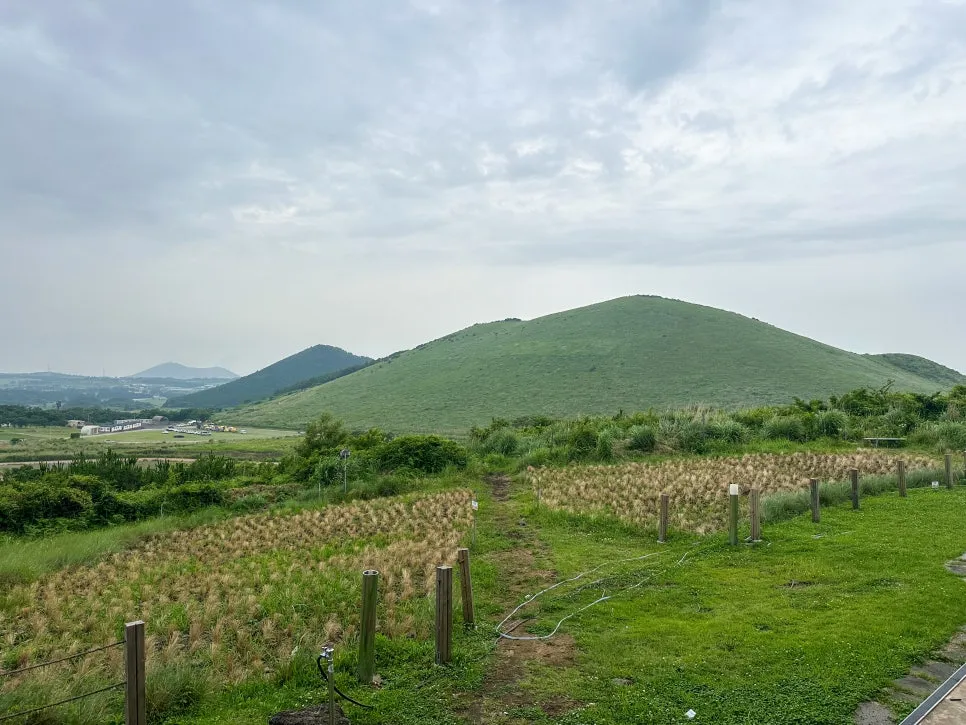 새빌