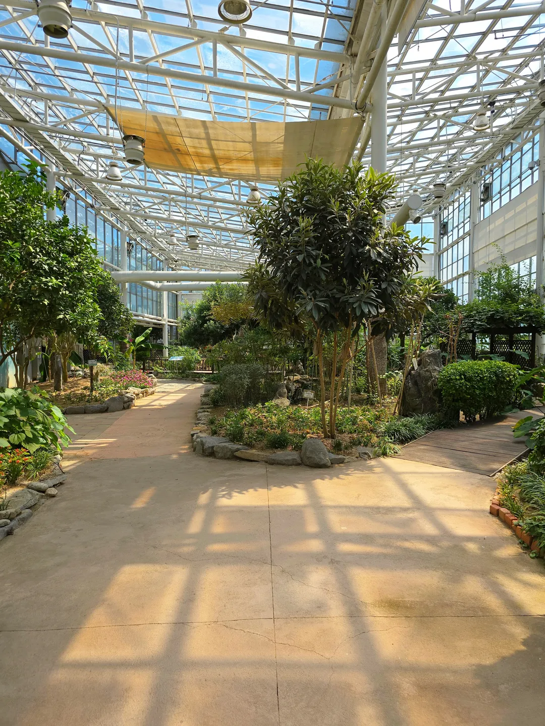 堤川漢方エキスポ公園薬草ハーブ植物園 写真 10