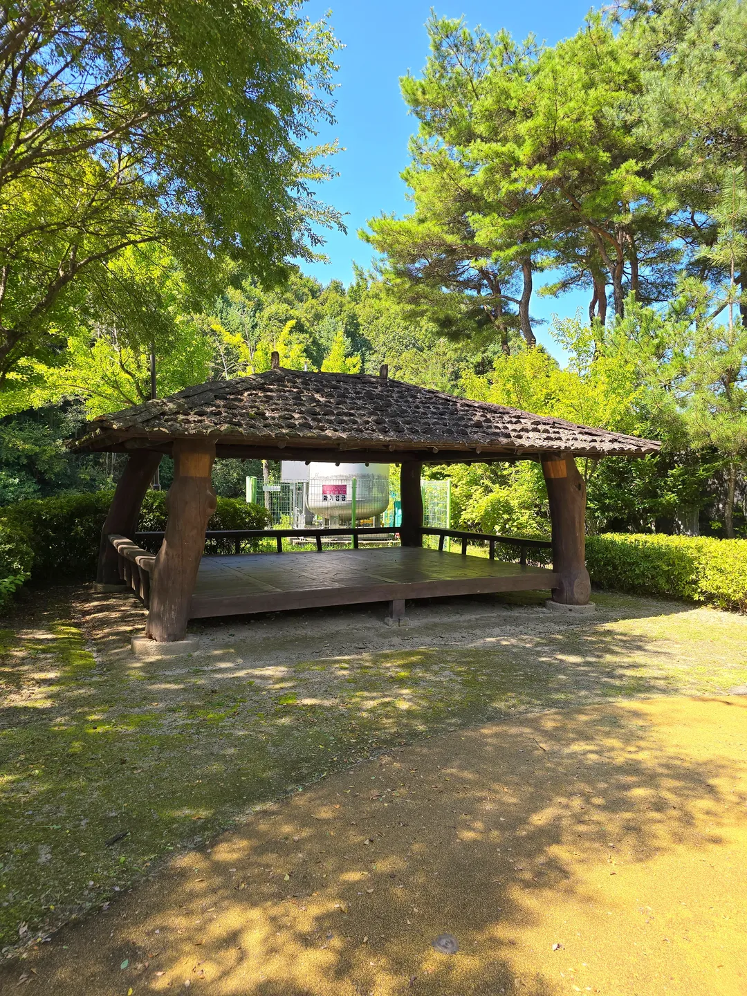 堤川漢方エキスポ公園薬草ハーブ植物園 写真 11