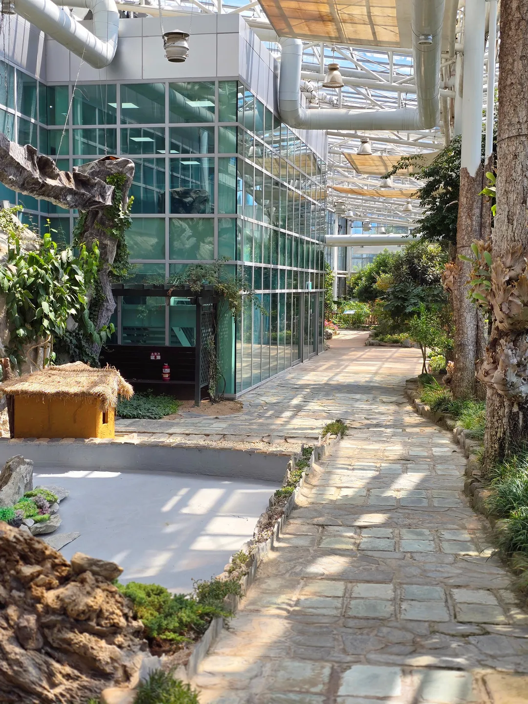 堤川漢方エキスポ公園薬草ハーブ植物園 写真 12