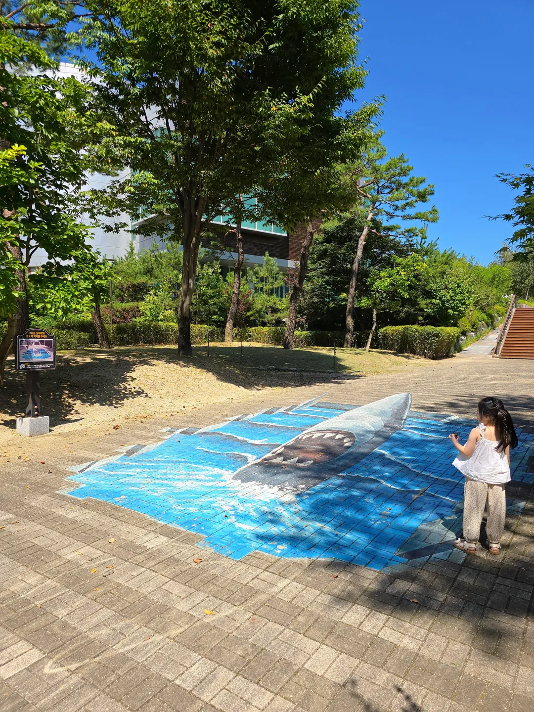 堤川漢方エキスポ公園薬草ハーブ植物園 写真 8