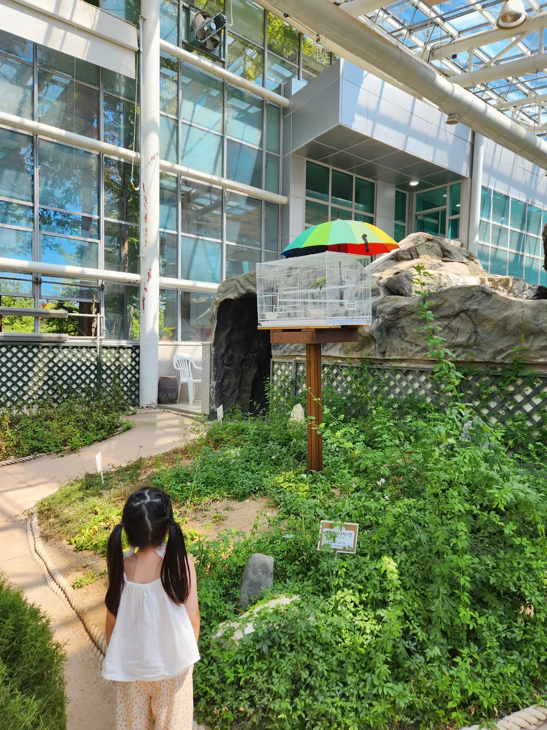堤川漢方エキスポ公園薬草ハーブ植物園 写真 7