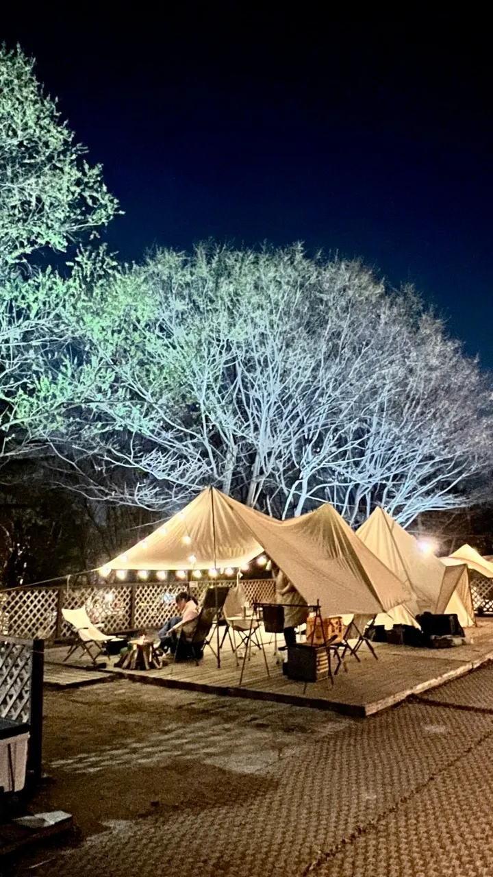 半月熊が住んでいた森 写真 8