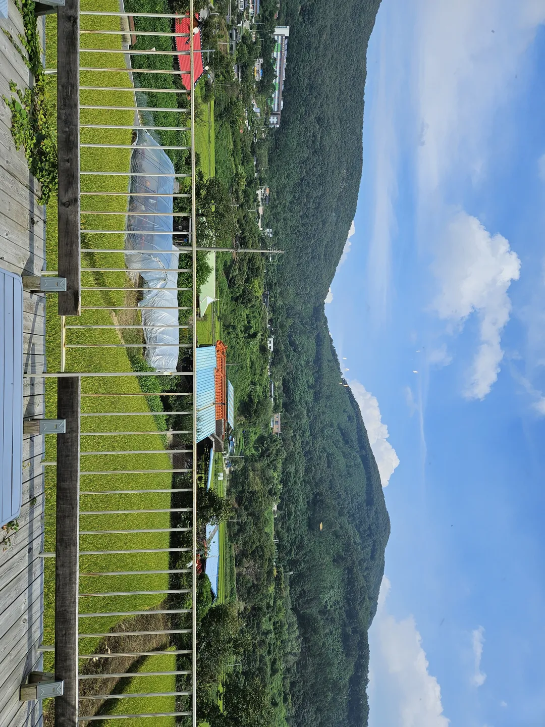 후멜로 사진 12