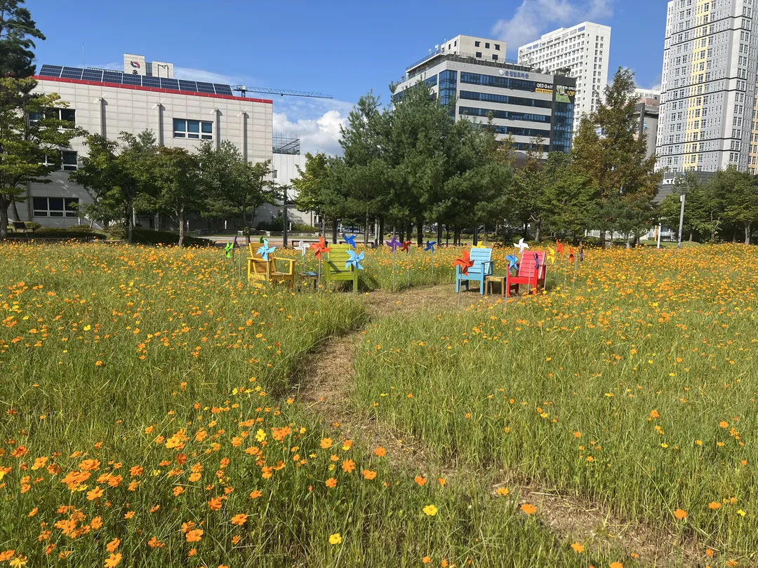 운정1동 솔가람 꽃밭 사진 10