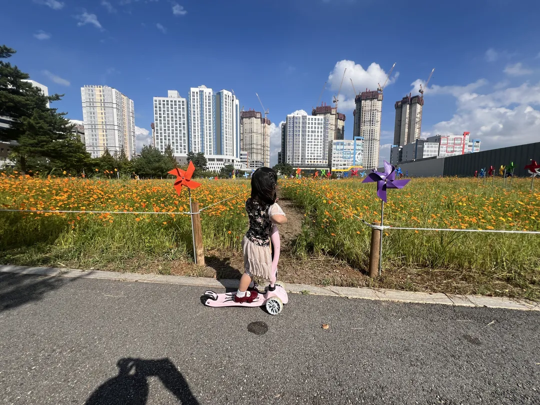 운정1동 솔가람 꽃밭 사진 6