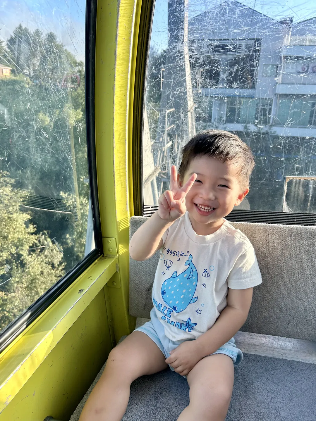 웰리힐리파크 양떼목장