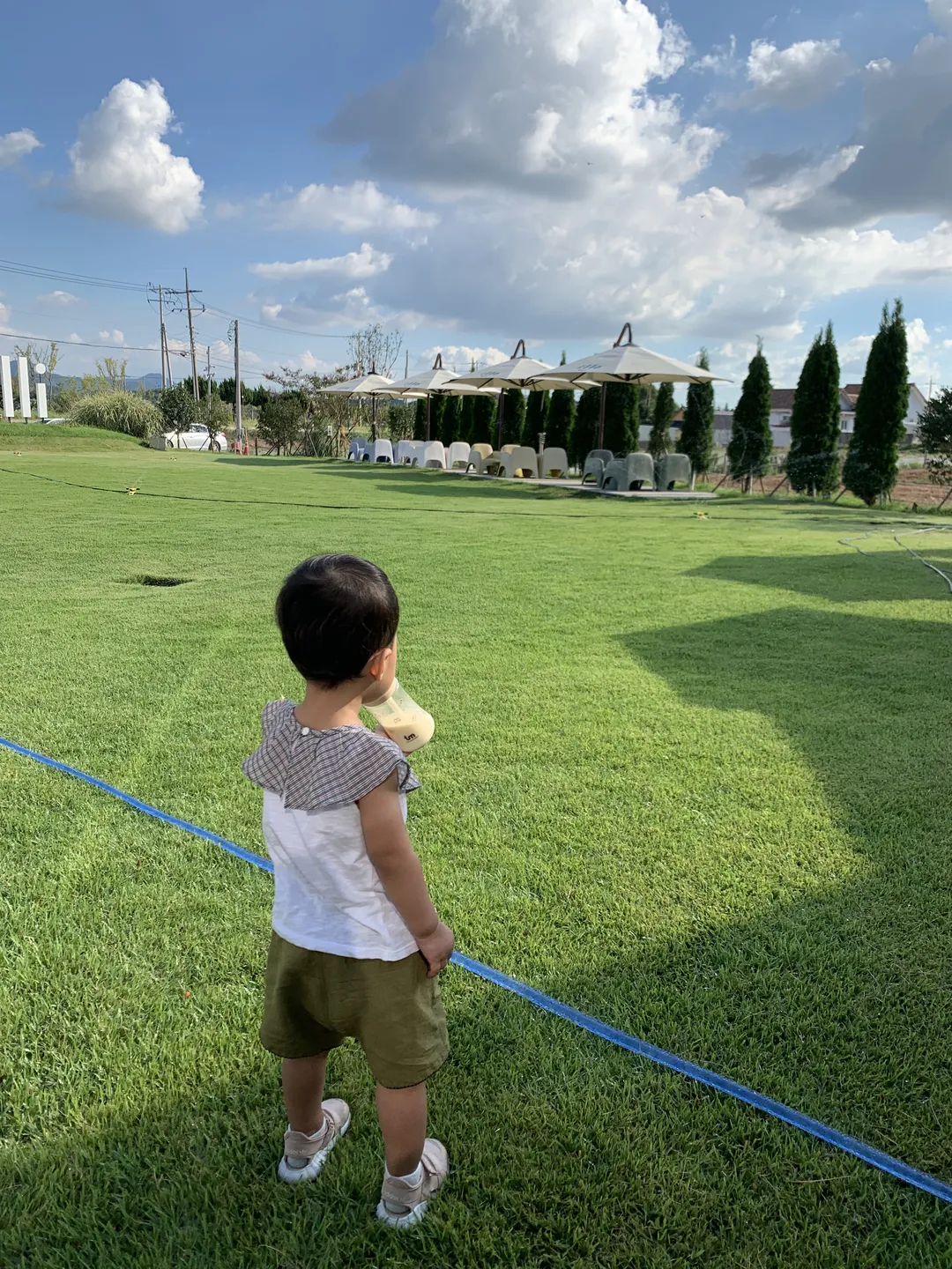 일로일로