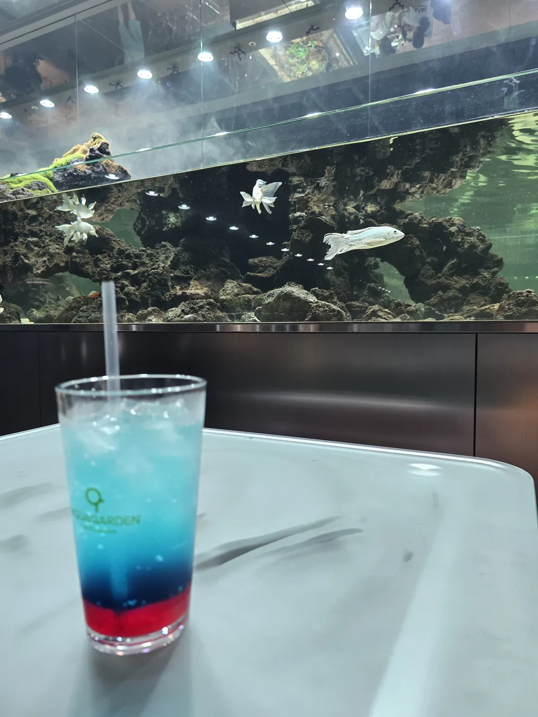 오렌지아쿠아 사진 17