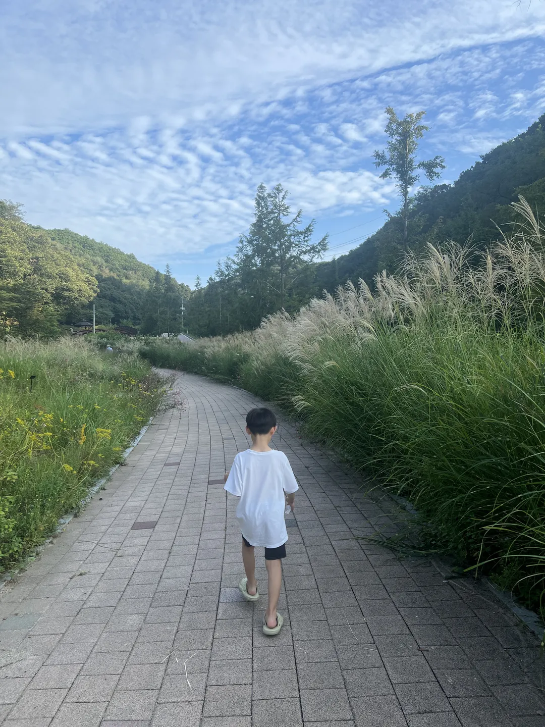 ユルゴク樹木園 幼児の森体験園 写真 11