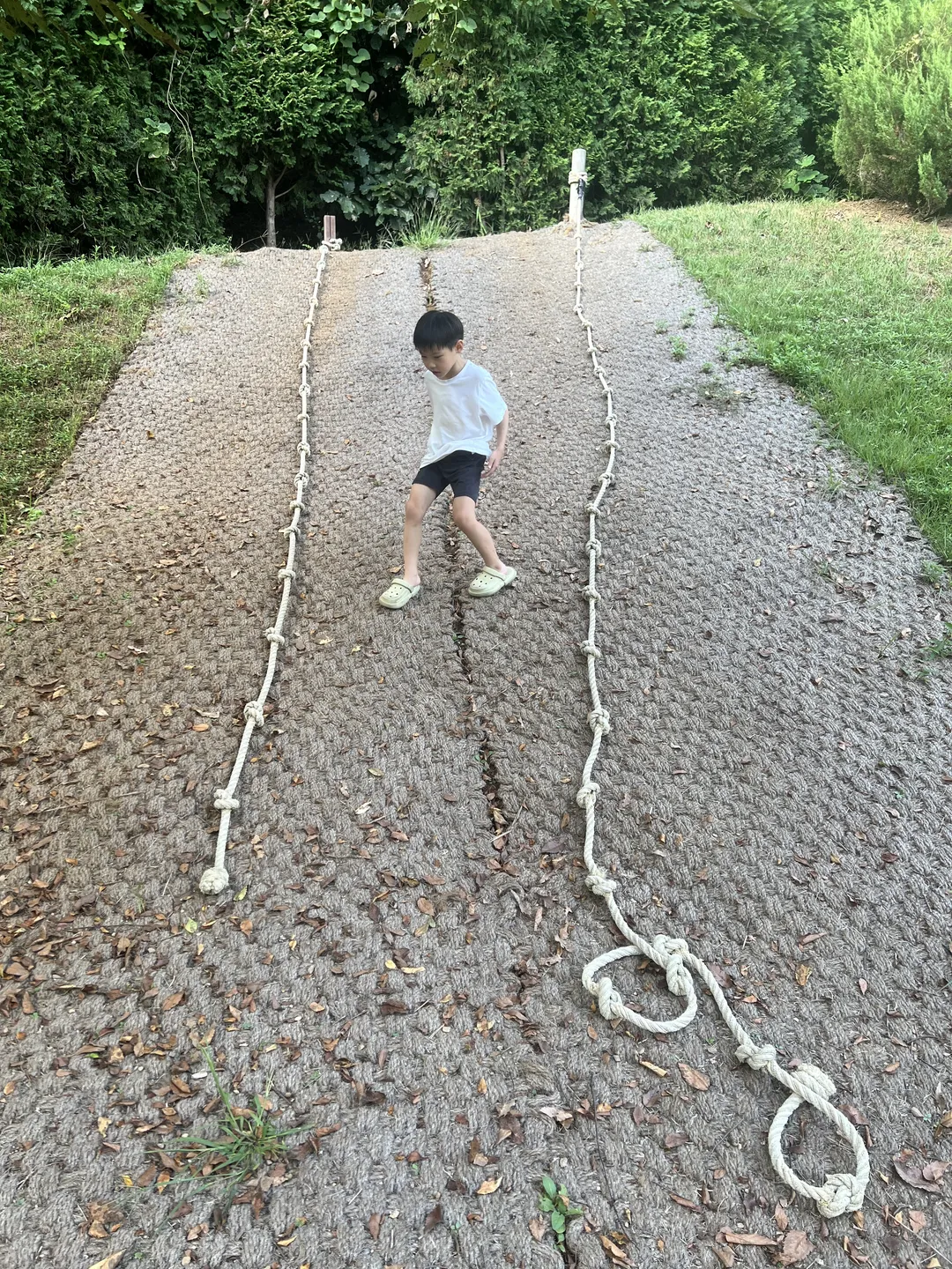 ユルゴク樹木園 幼児の森体験園 写真 7