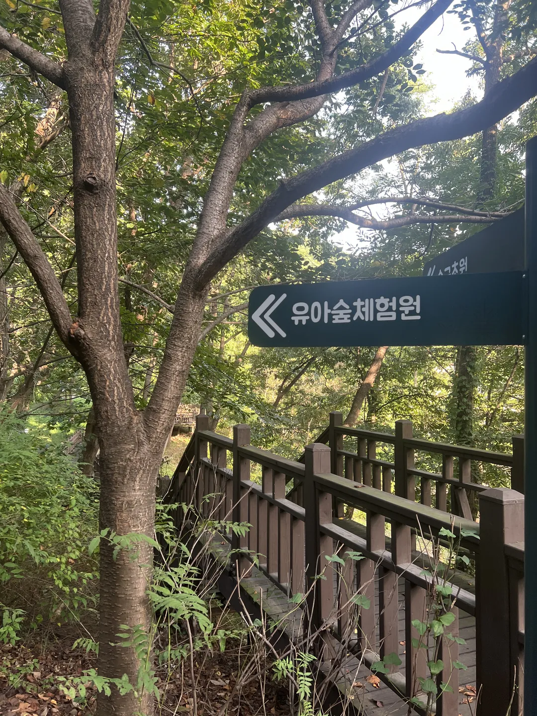 ユルゴク樹木園 幼児の森体験園 写真 17