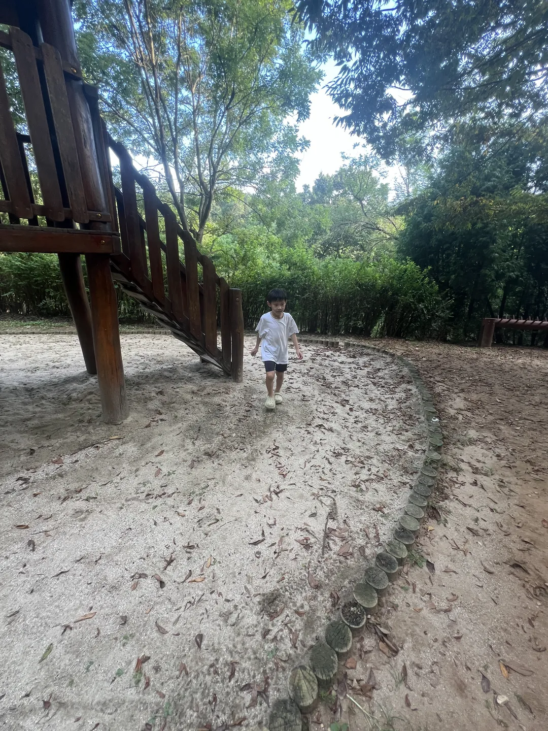 ユルゴク樹木園 幼児の森体験園 写真 10