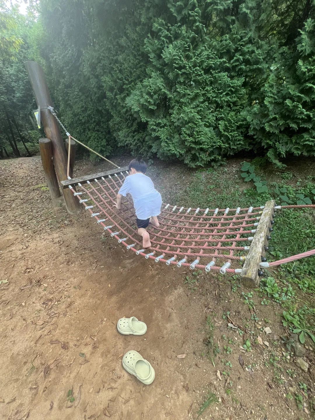 ユルゴク樹木園 幼児の森体験園 写真 9