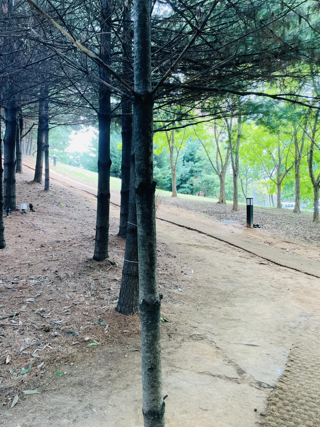 노을빛어린이공원 사진 12