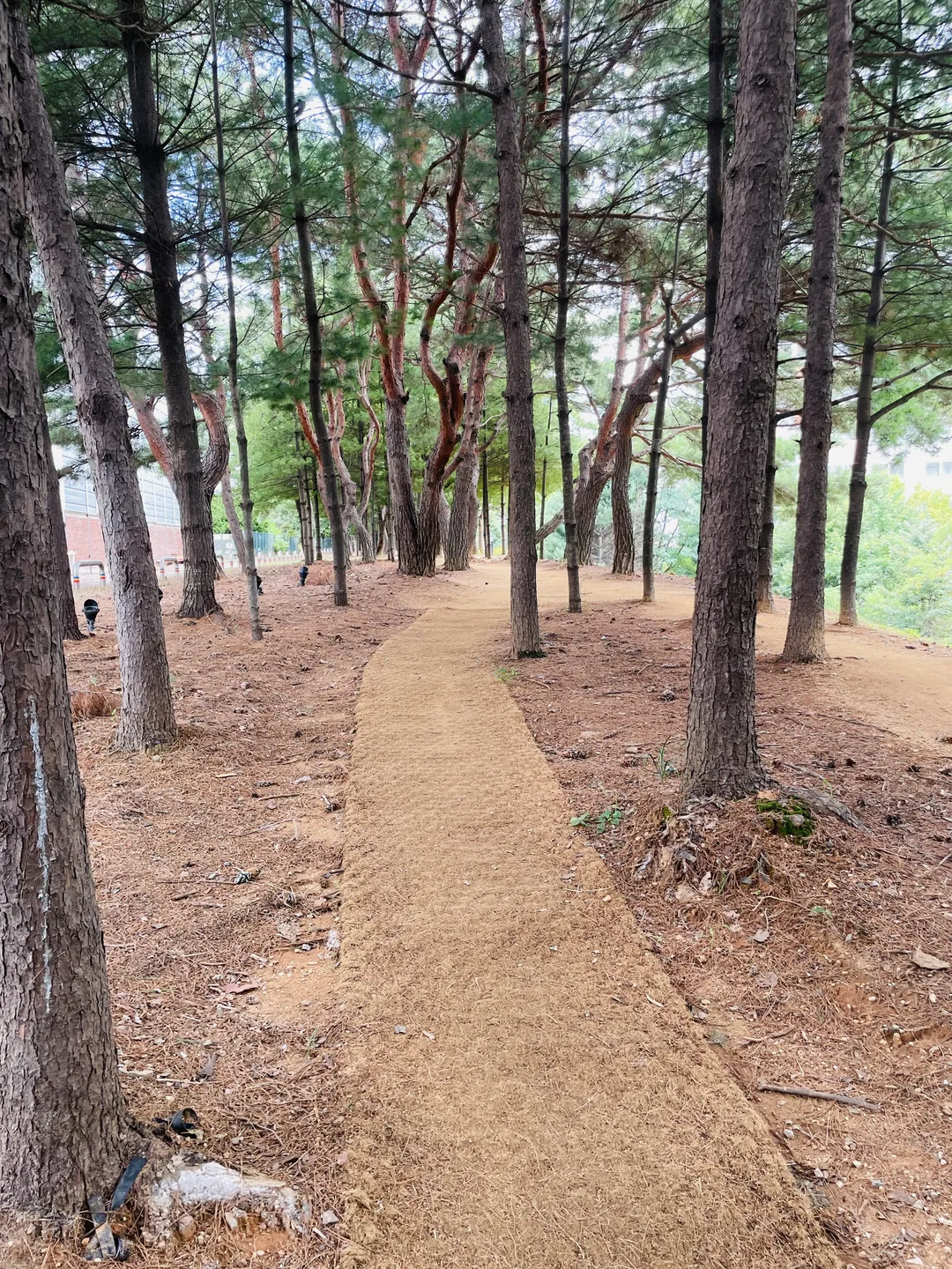 노을빛어린이공원 사진 15