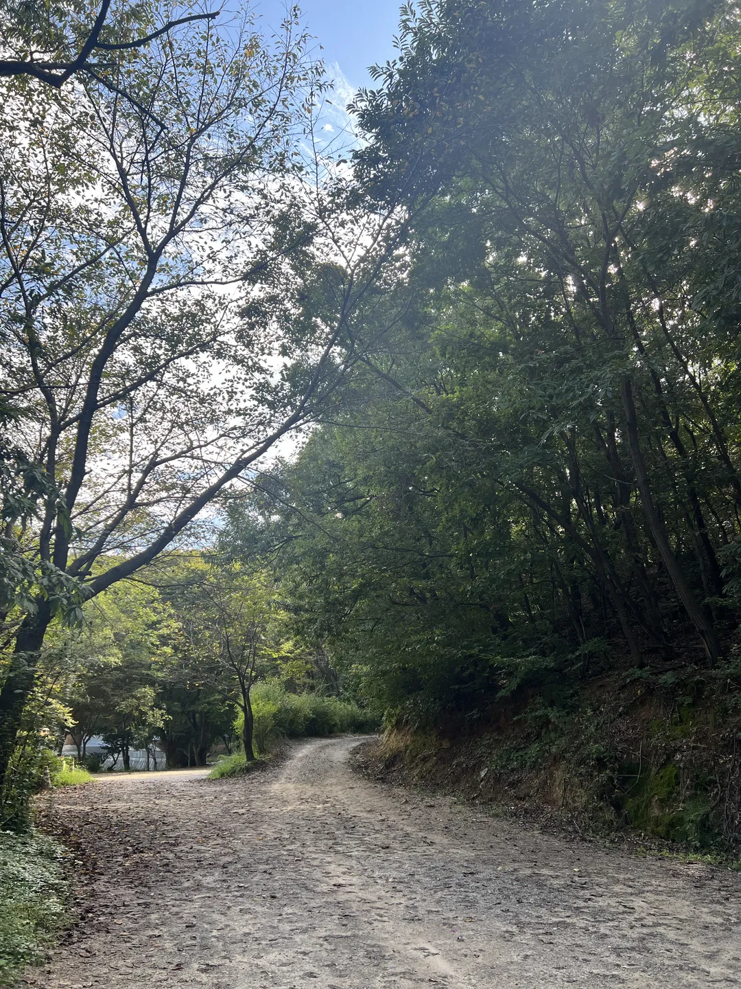 심학산산림공원 사진 11