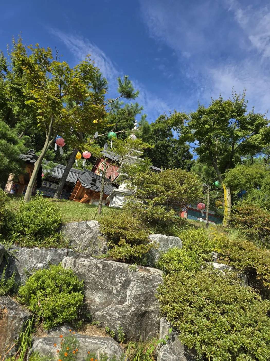 심학산산림공원 사진 9