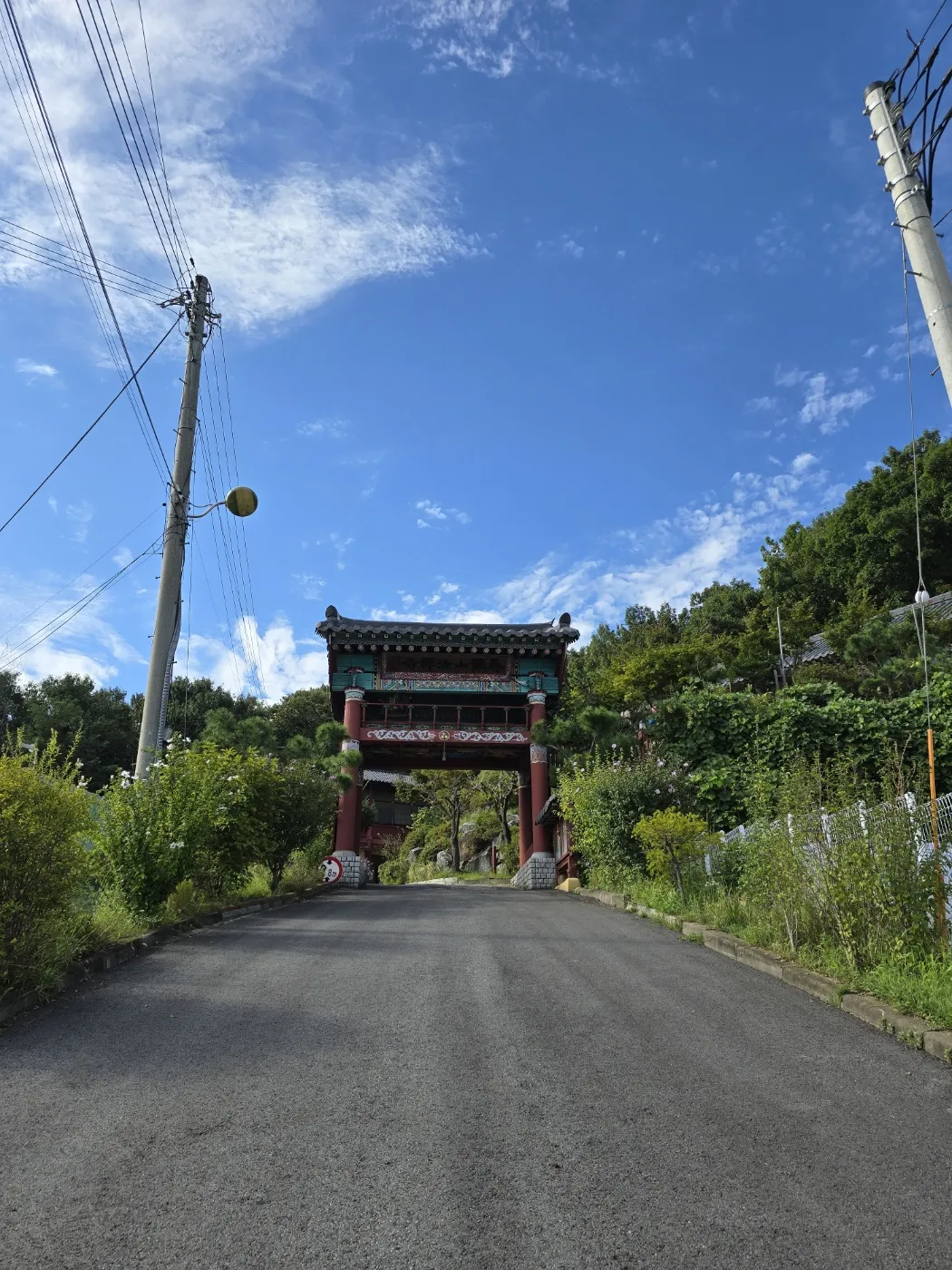 심학산산림공원 사진 6