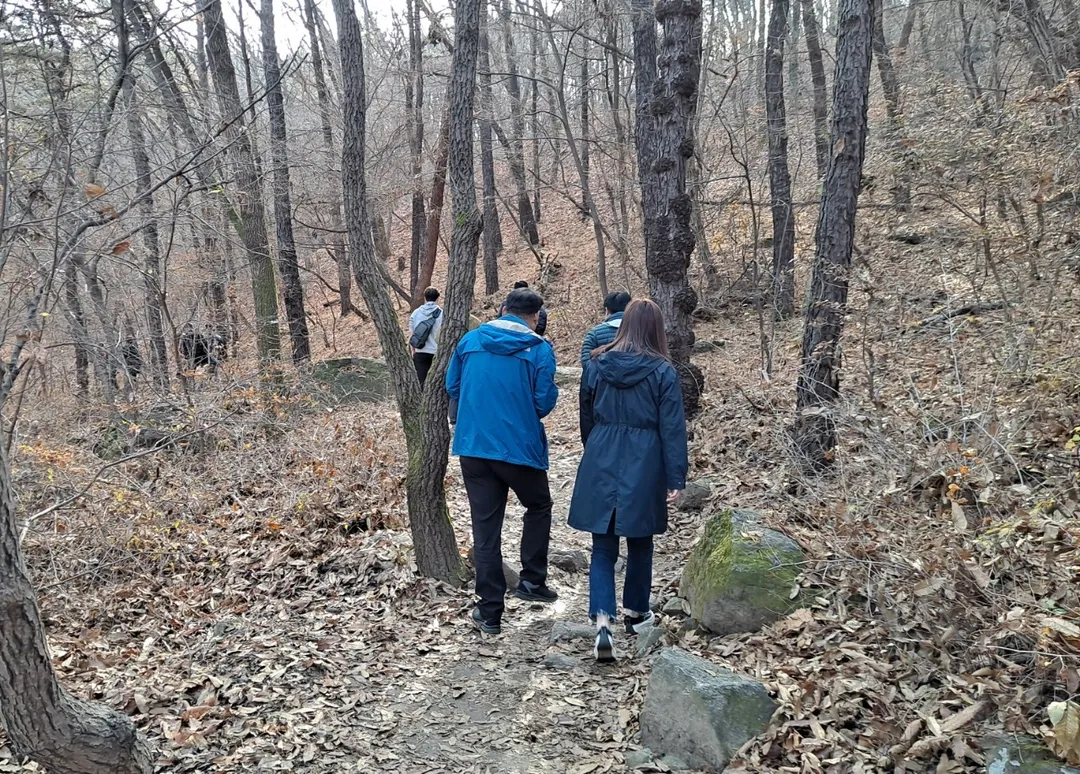 심학산산림공원 사진 13