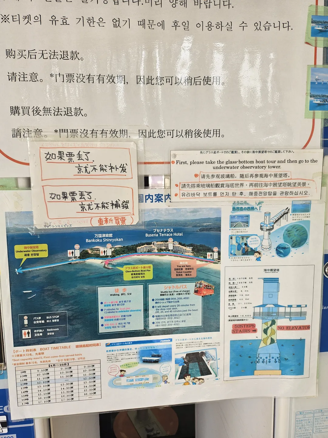 오키나와 부세나 해중공원 사진 15