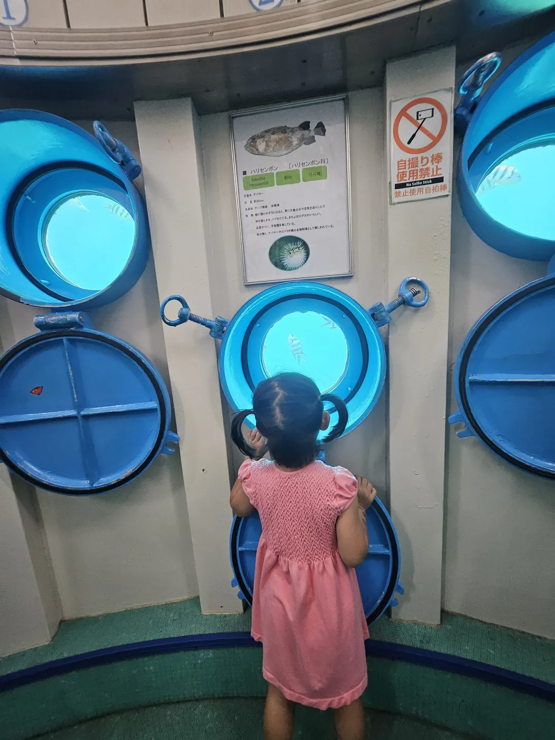ブセナ海中公園海中展望塔 写真 8