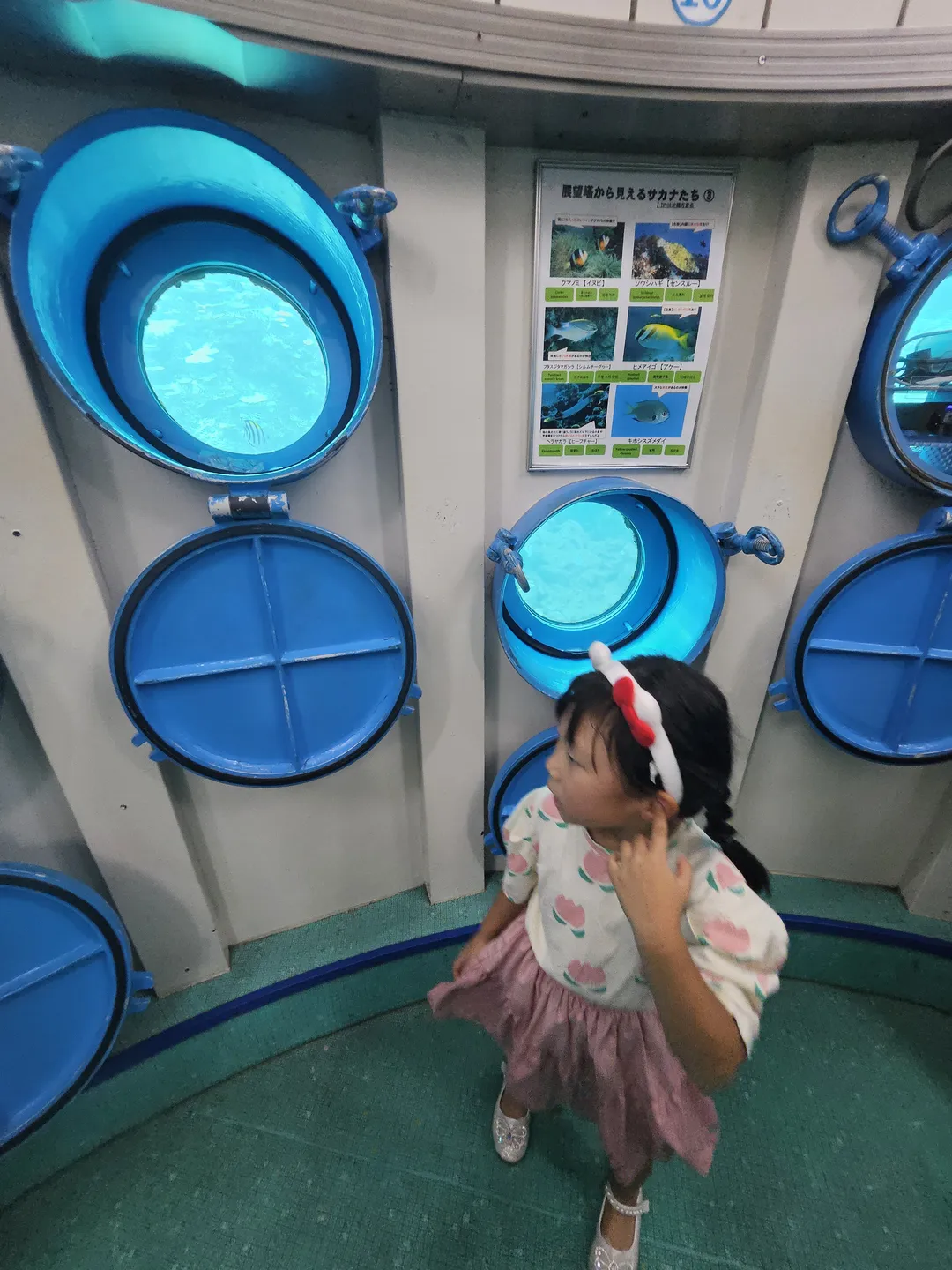 ブセナ海中公園海中展望塔 写真 10
