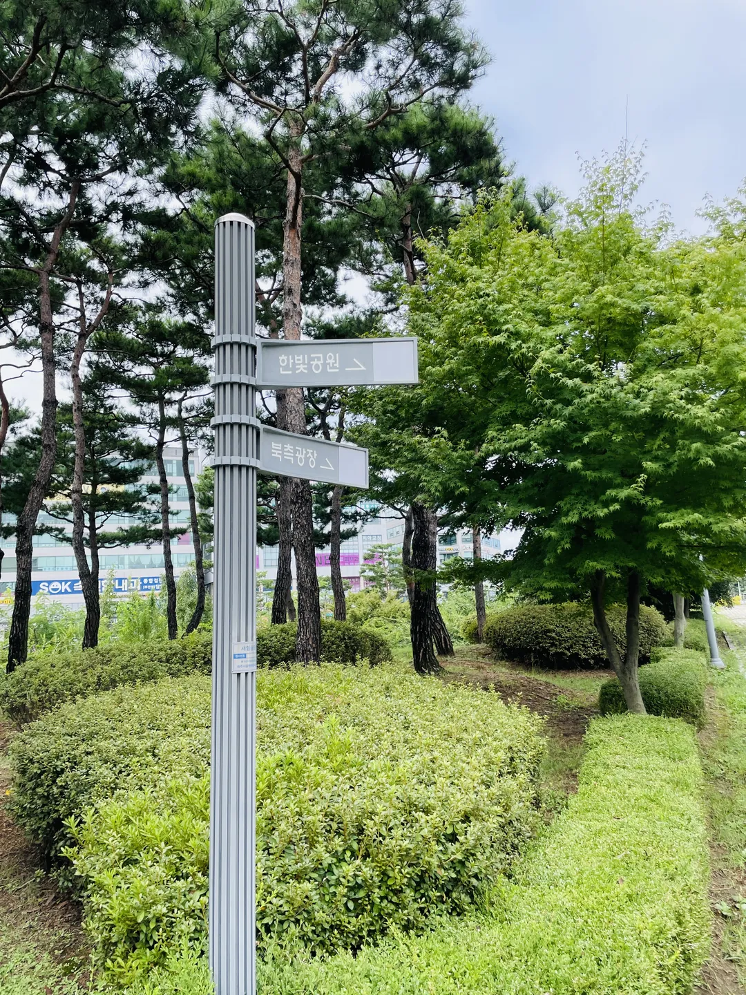 セアム公園 写真 11