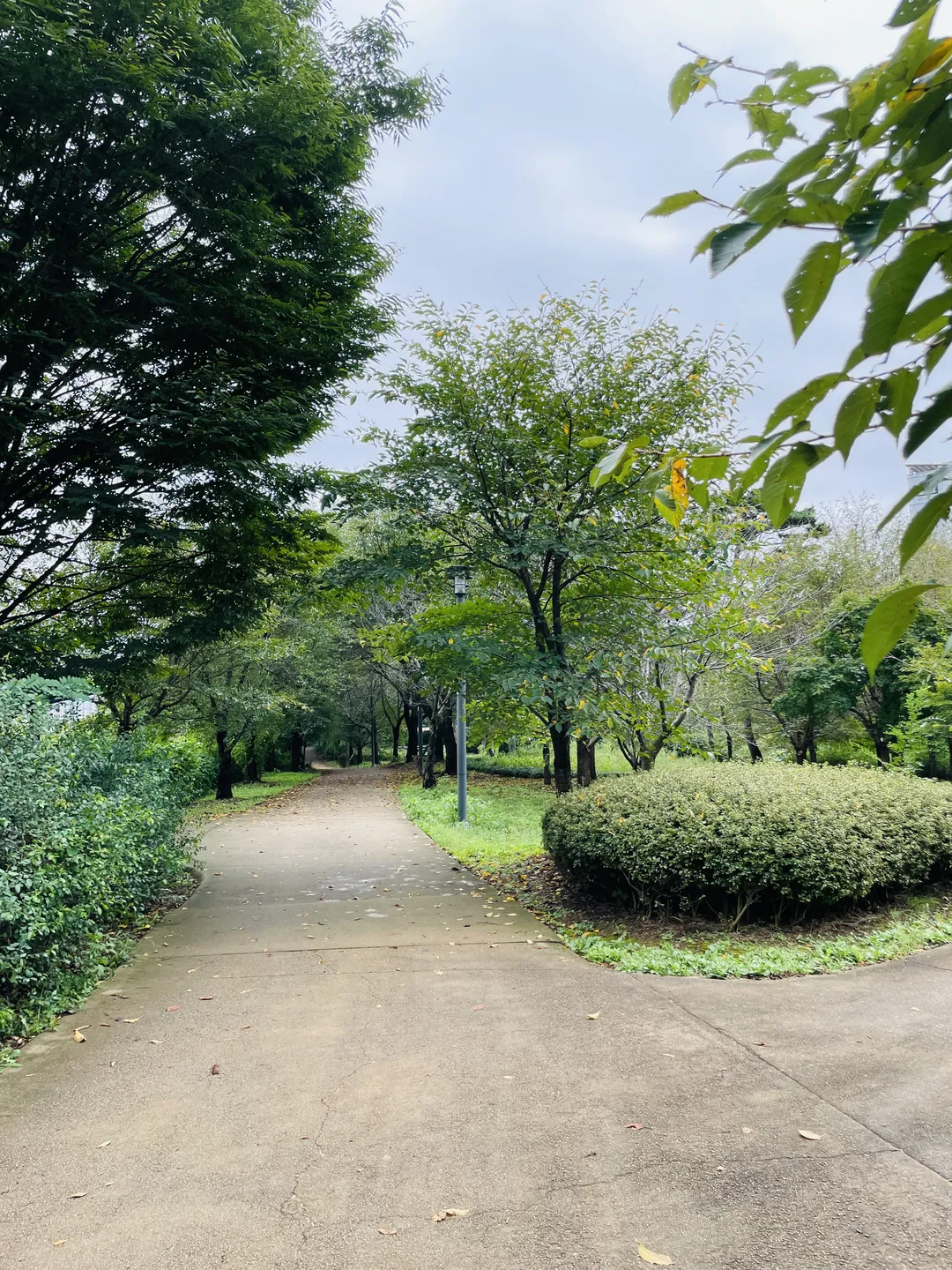 セアム公園 写真 8