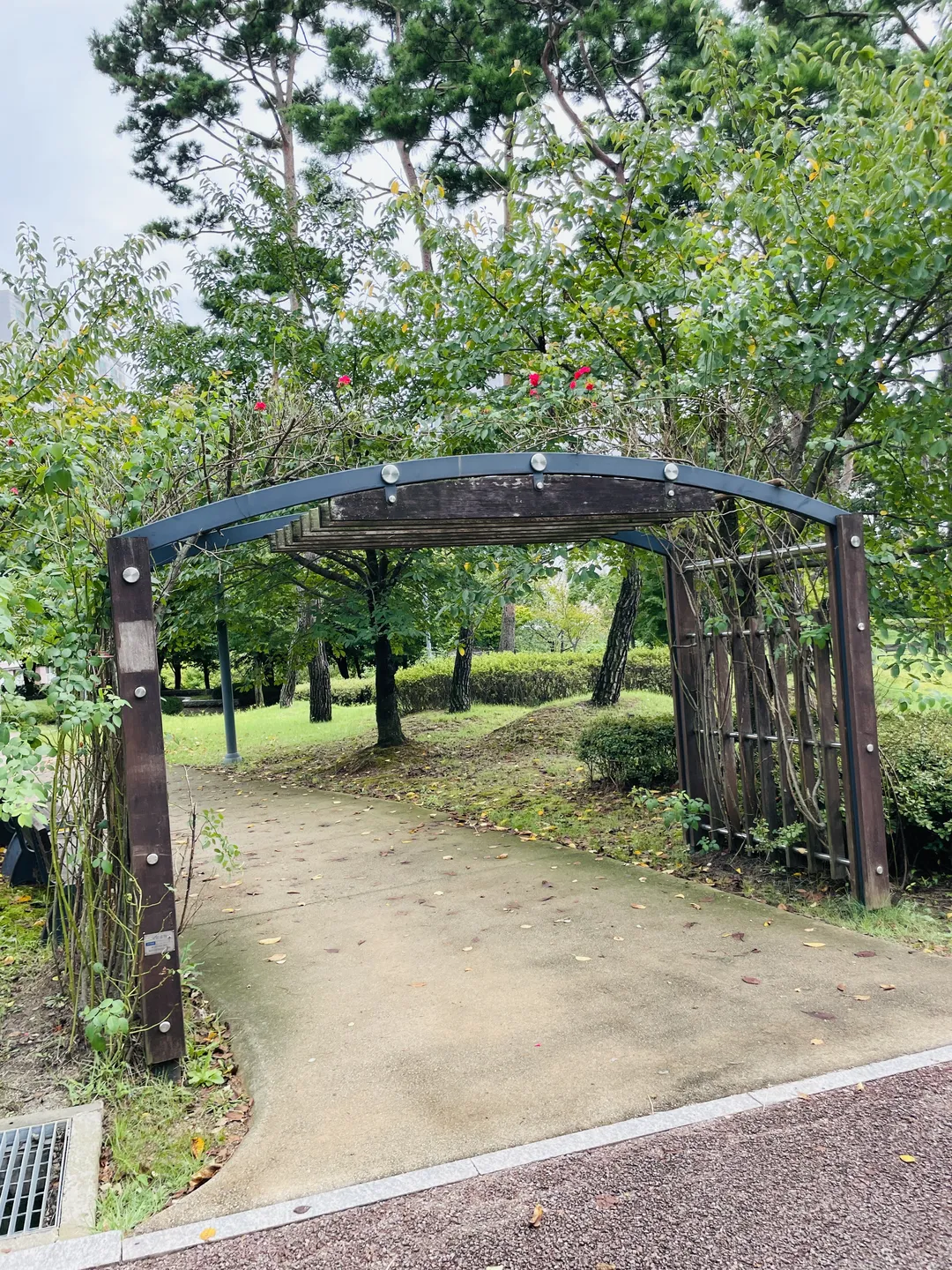 セアム公園 写真 10