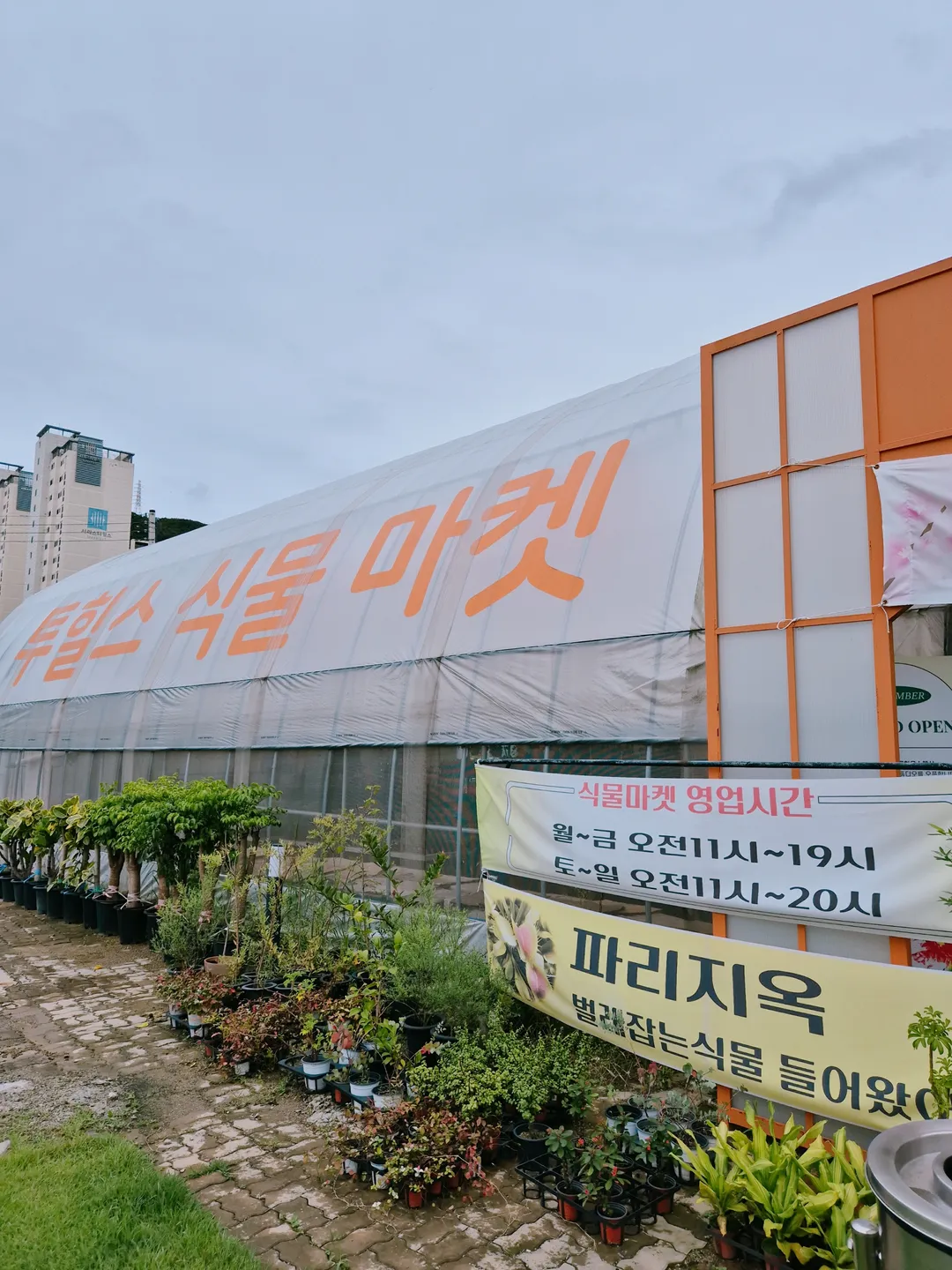 투힐스 사진 35