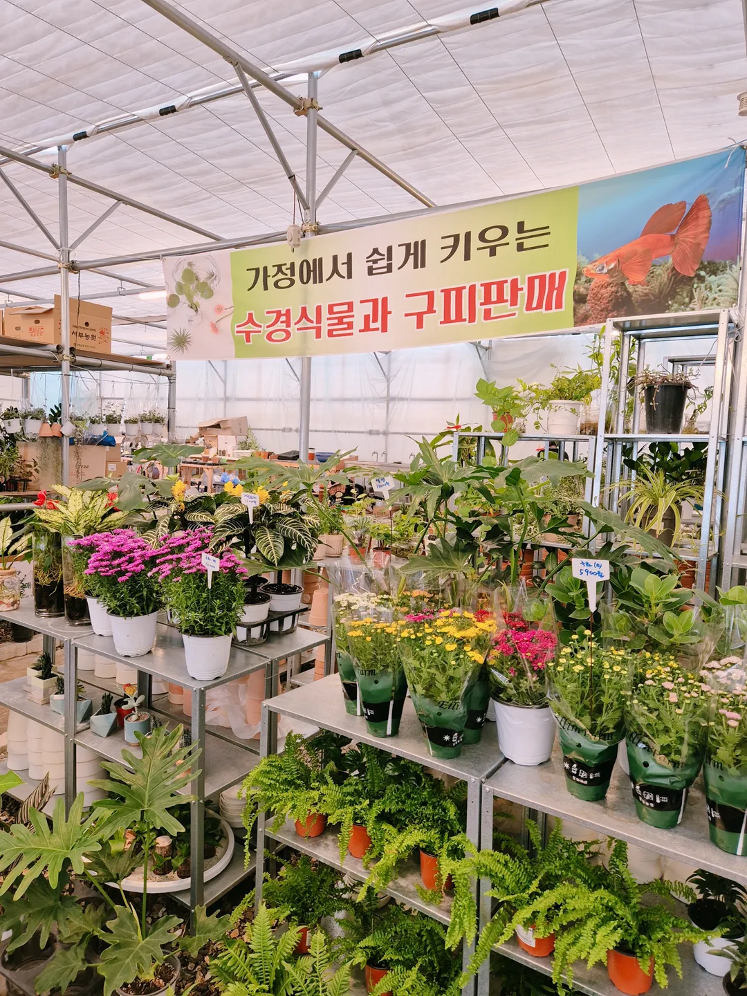 투힐스 사진 11