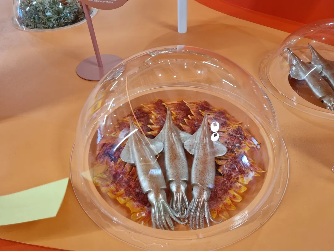 <展示> 神秘的なローカル雑貨店 写真 23