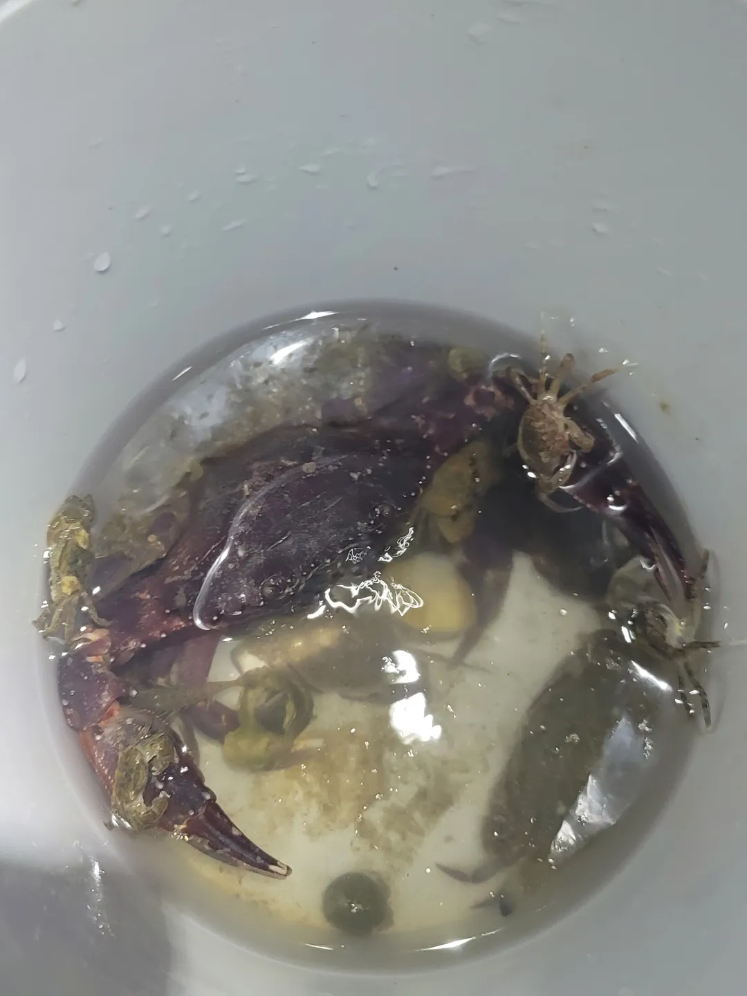 ハガムポ海水浴場 写真 9
