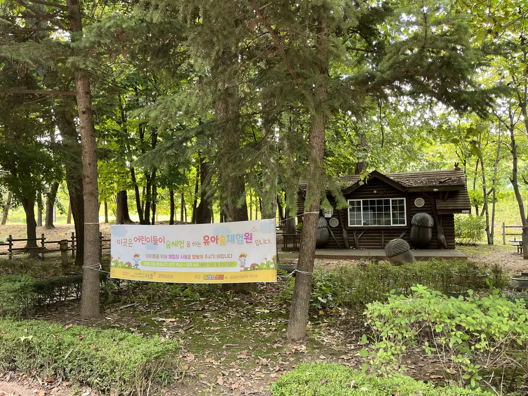 서초문화예술공원 사진 12