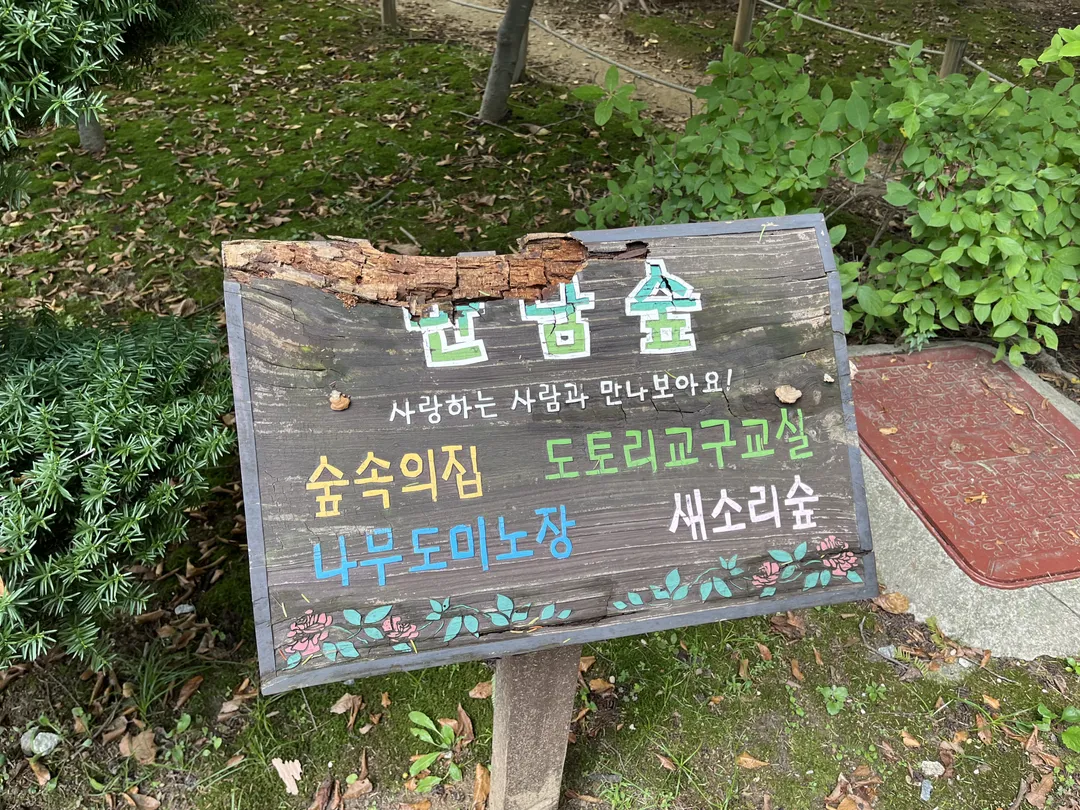 서초문화예술공원 사진 14