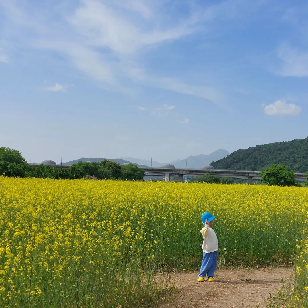 당남리섬(대신섬) 사진 7