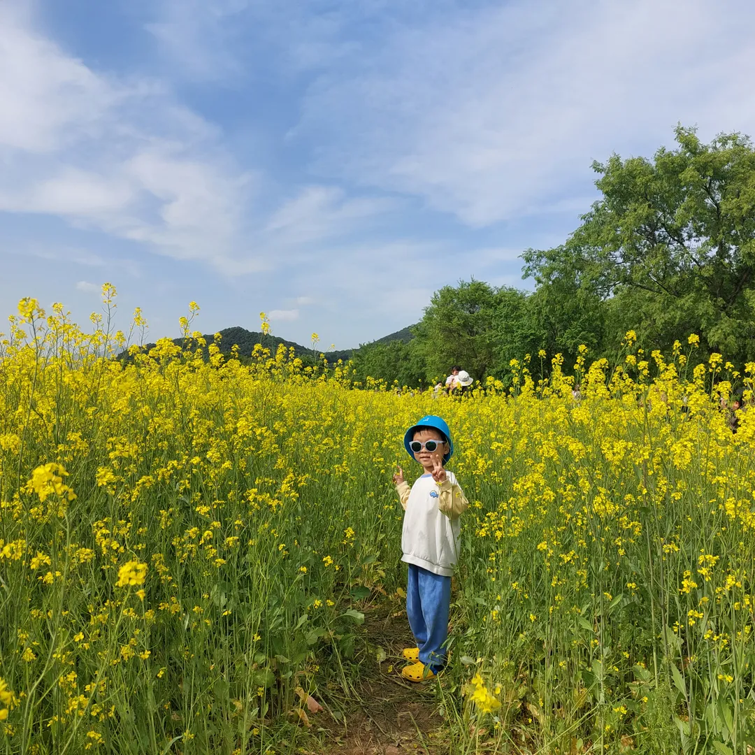 당남리섬(대신섬)