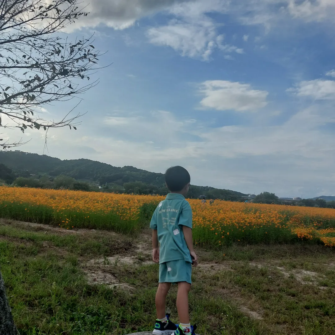 당남리섬(대신섬) 사진 10