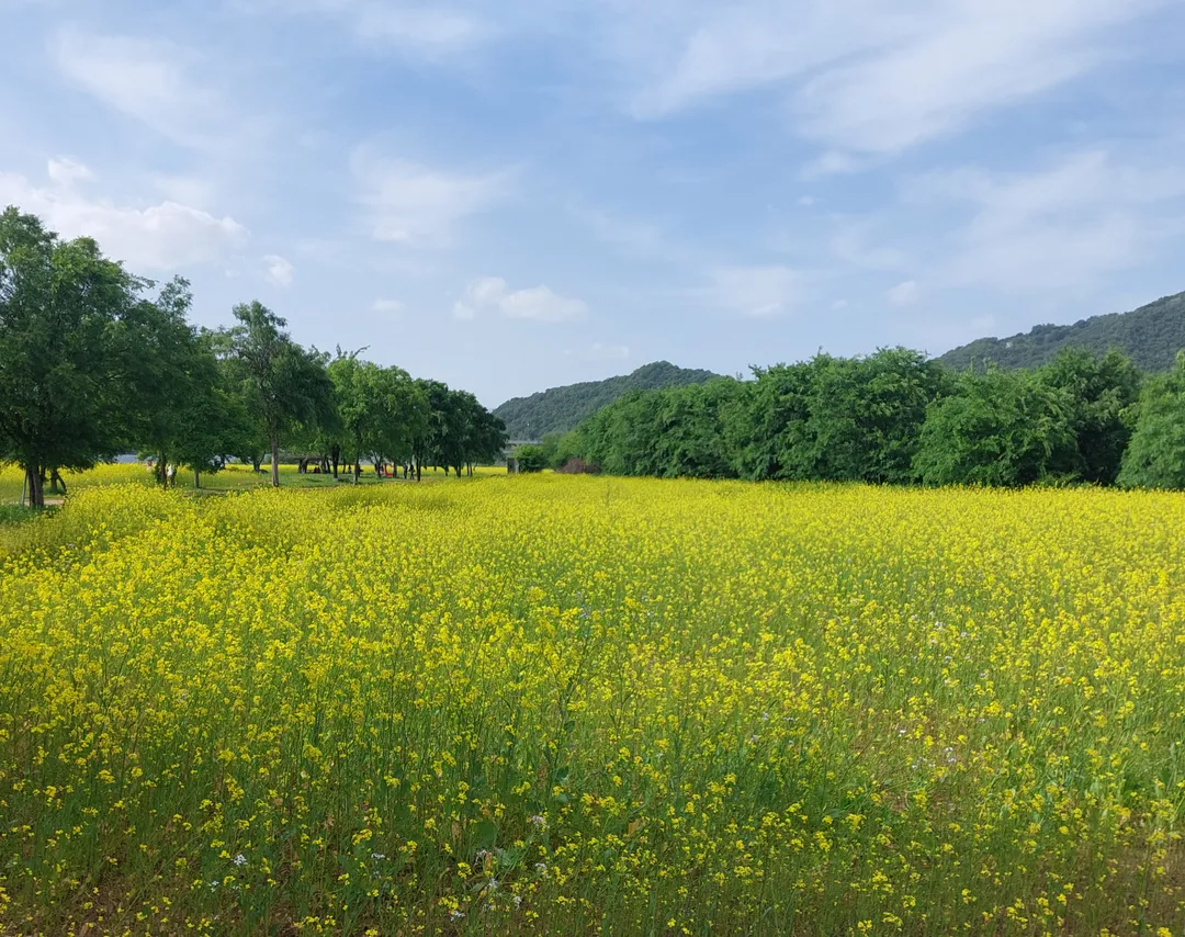 당남리섬(대신섬) 사진 9